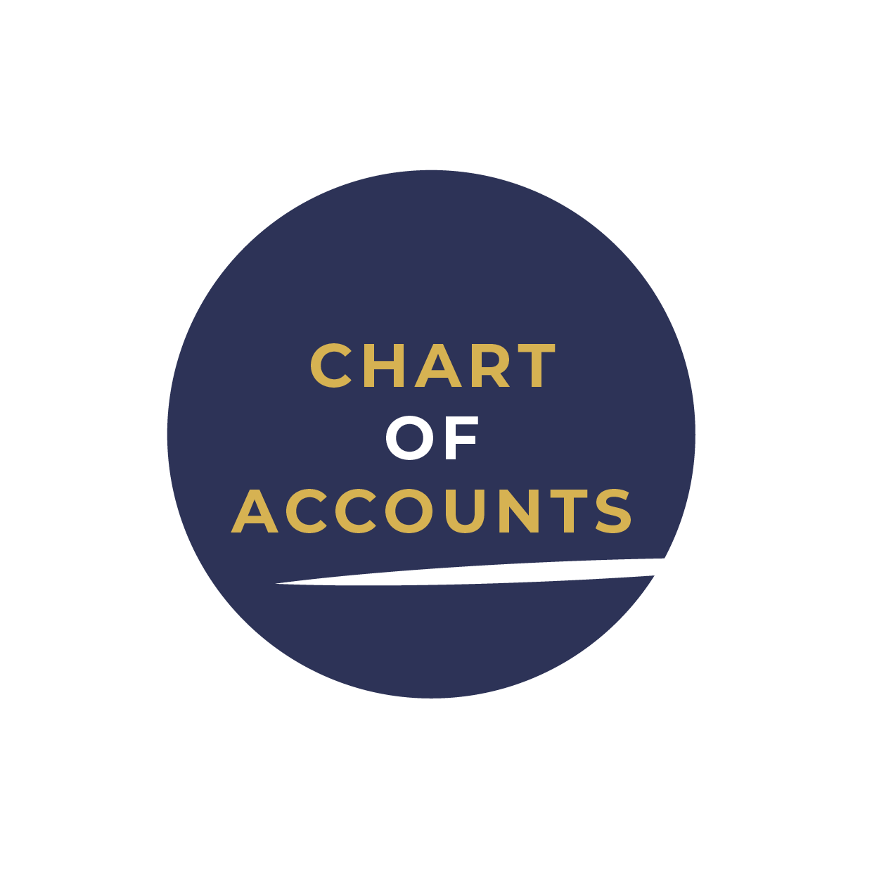 Chart of Accounts for Any Accounting Program